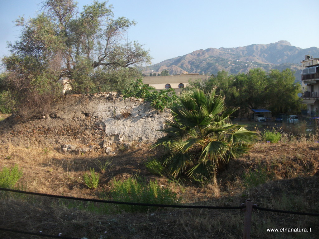 oria Naxos-22-07-2015 08-00-058